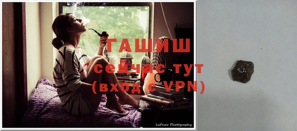 стаф Покачи