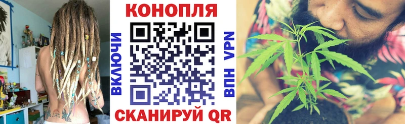 Каннабис OG Kush  Купить где  Альметьевск 